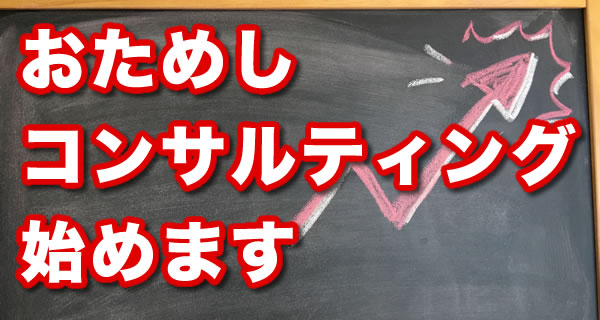 お試しコンサルティング