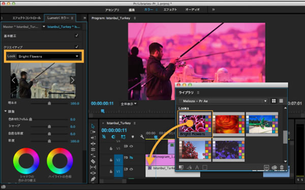 Premiere Pro CC